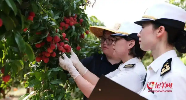 1754872831167463.png image.png