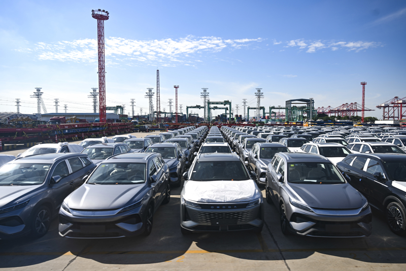 活力中国调研行|“关港合作”保障国产车辆高效出口(8)